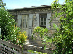 Picture